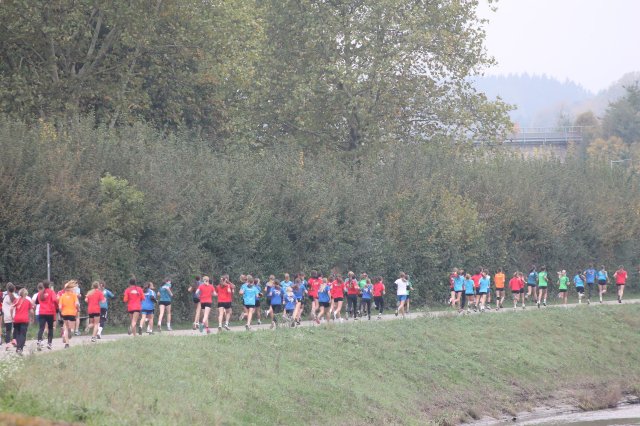 k-2024_crosscountry-land 249